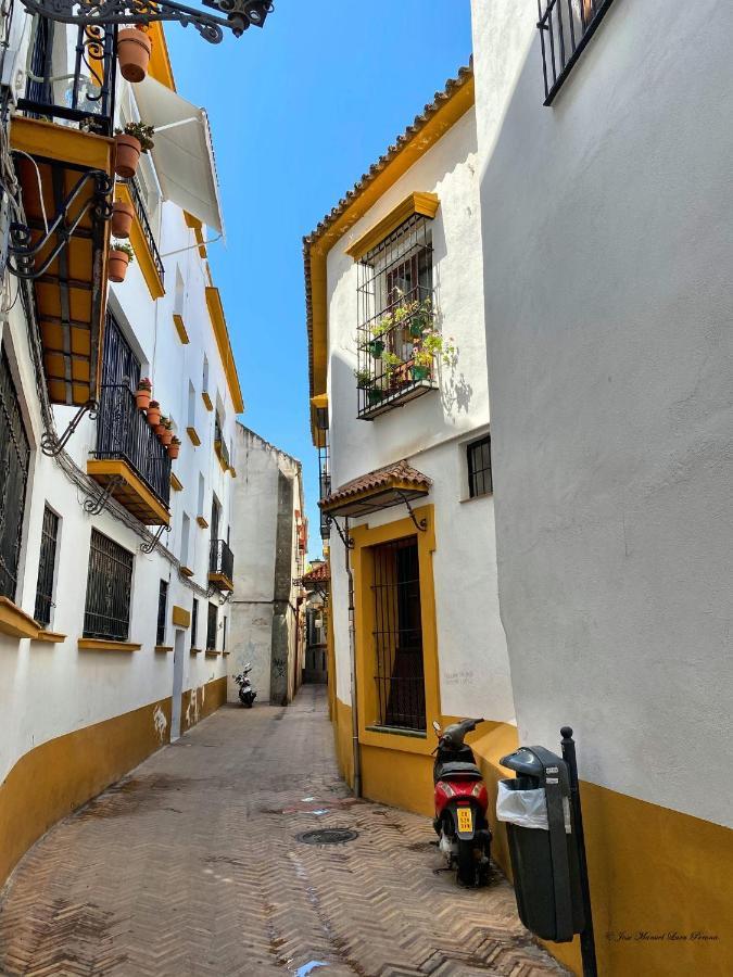 Apartamento San Clemente Sevilla Eksteriør bilde